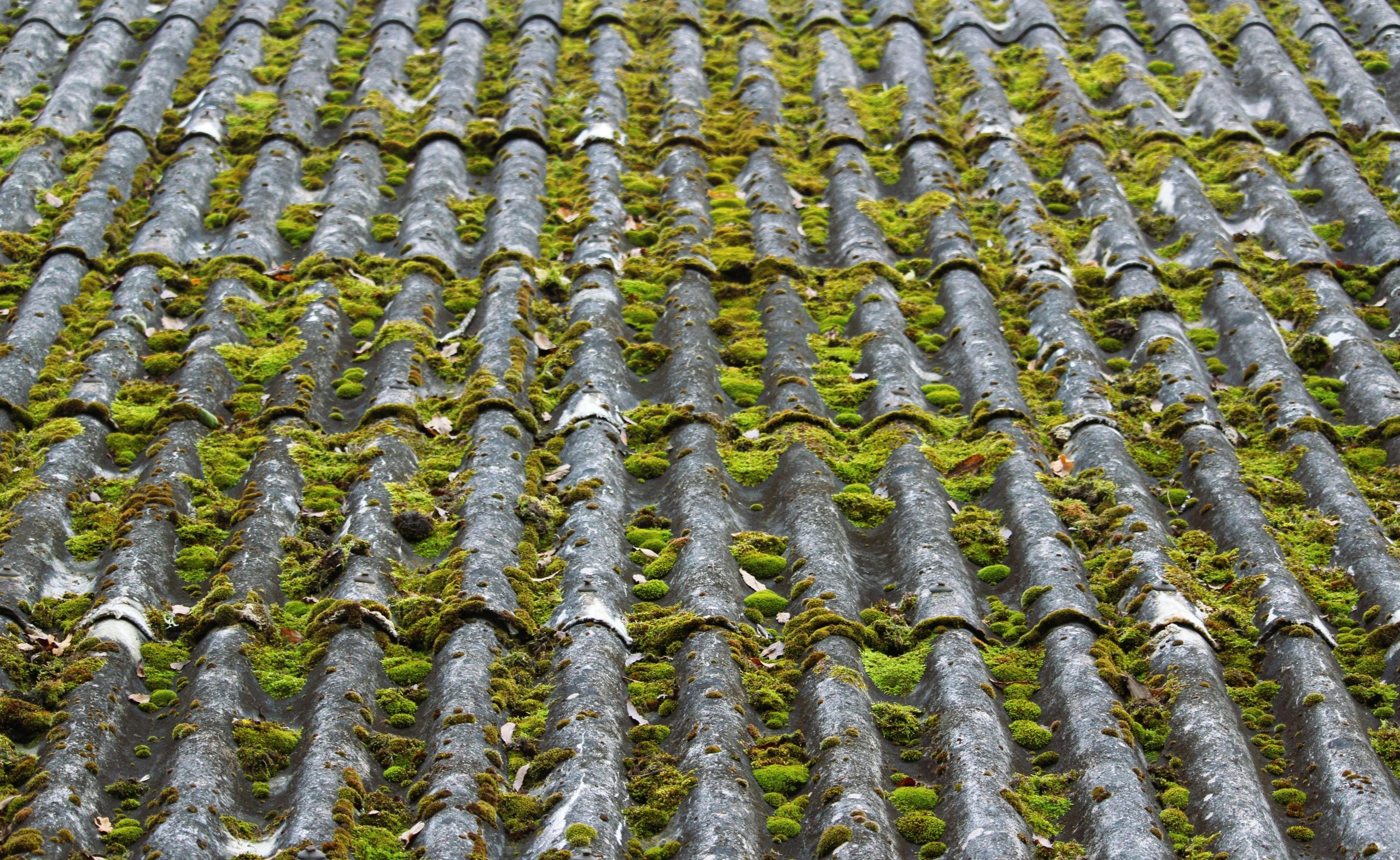 Pourquoi demoussage toiture preventif