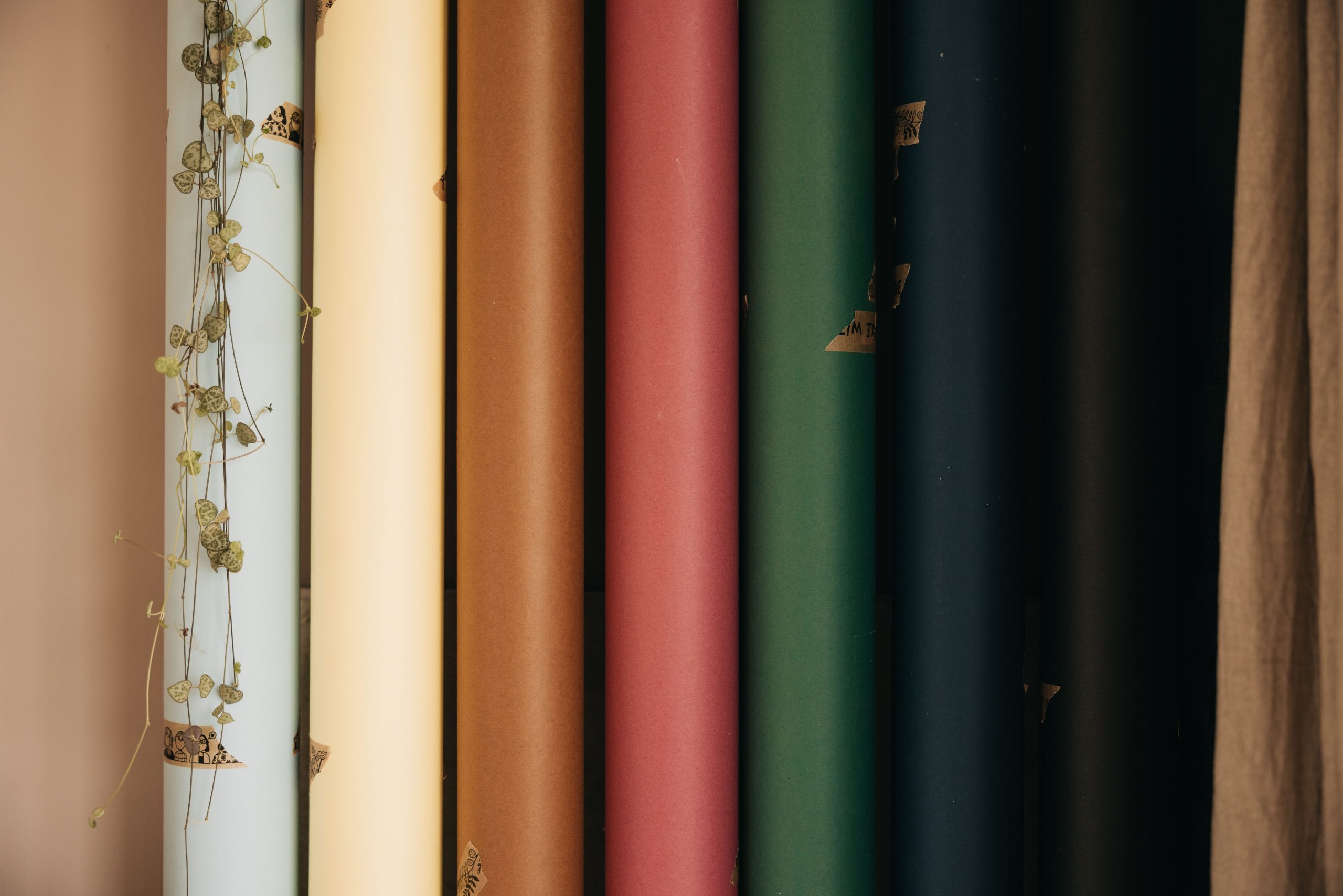 Arrangement coloré rouleaux papier peint vertical
