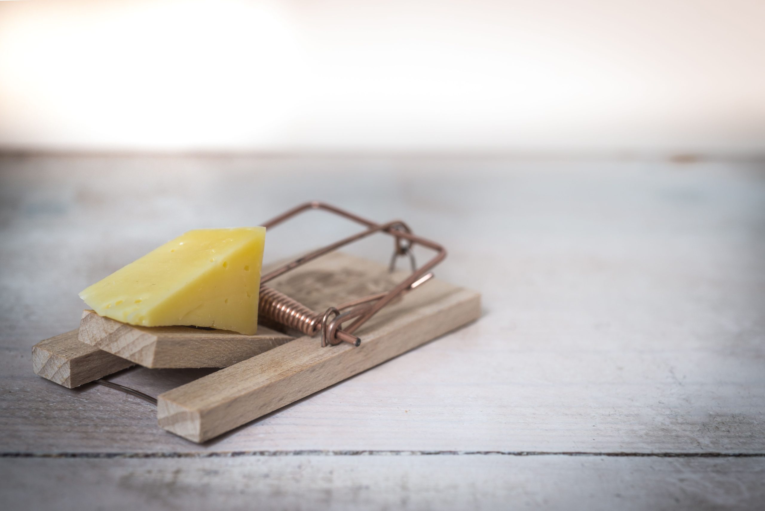 Piège à souris fromage table rustique