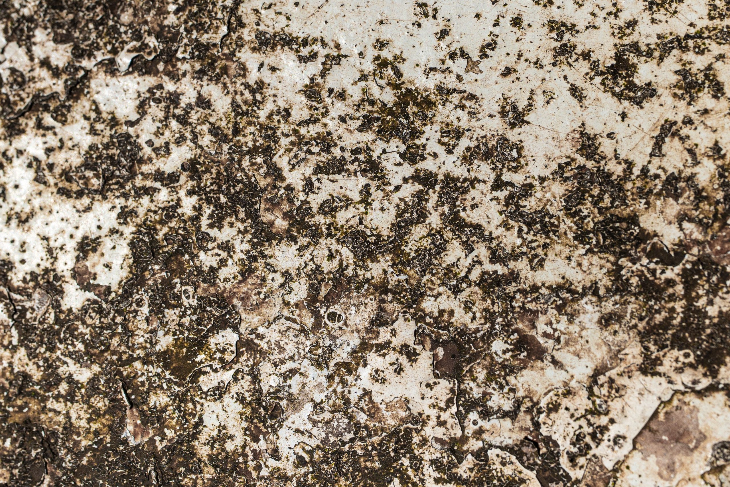 Vue détaillée d'une surface métallique rouillée